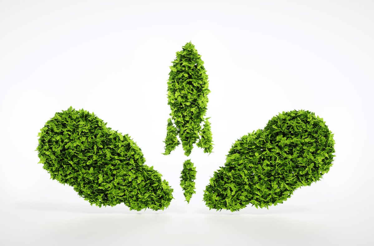 成都公司核名，名稱核準需要的材料